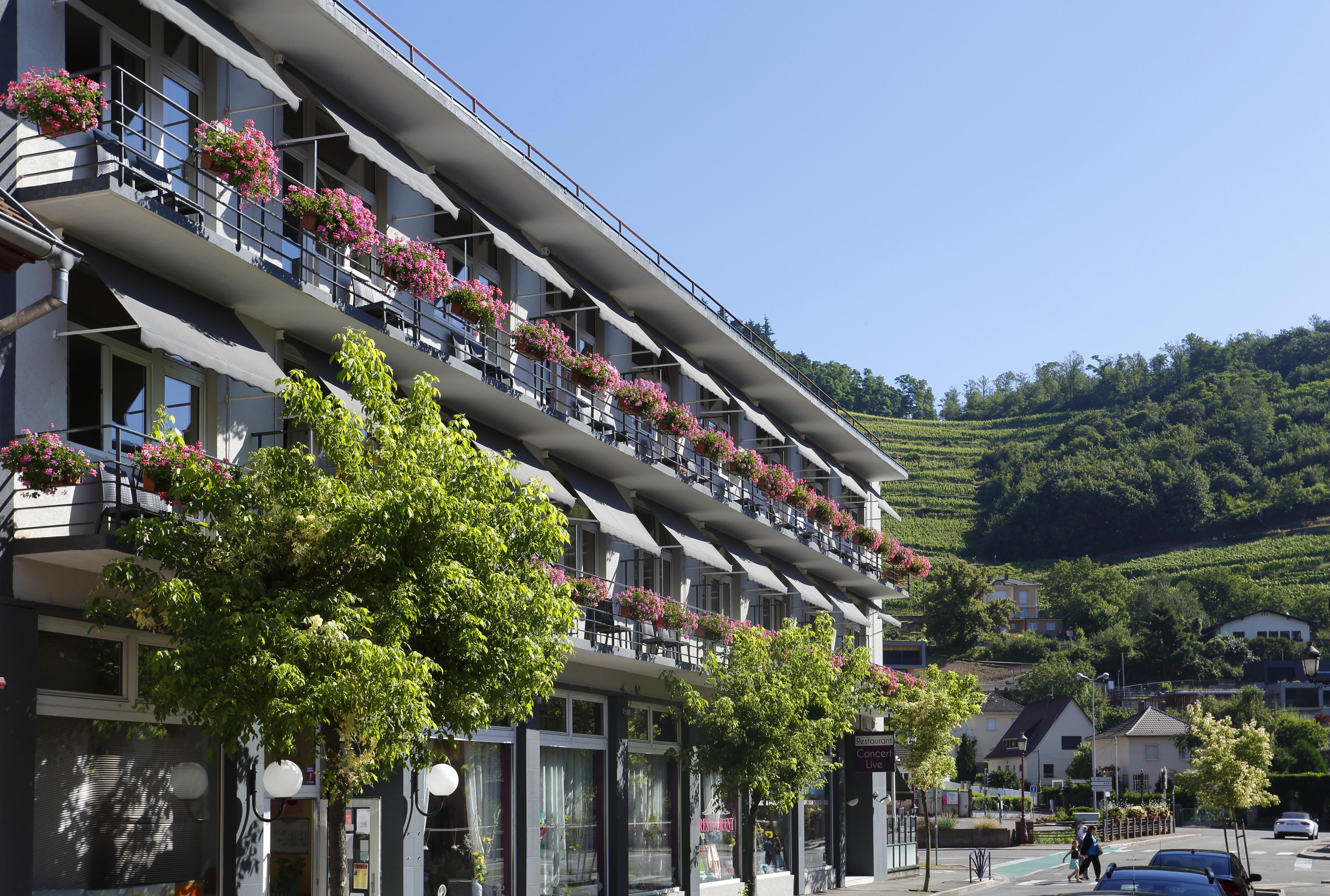 The Originals City, Hôtel de l'Ange, Colmar Sud (Inter-Hotel) Guebwiller Exterior foto